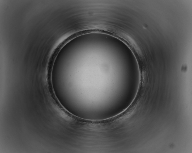 X0000102480780200808081304