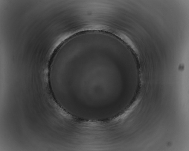 X0000102480781200808081304