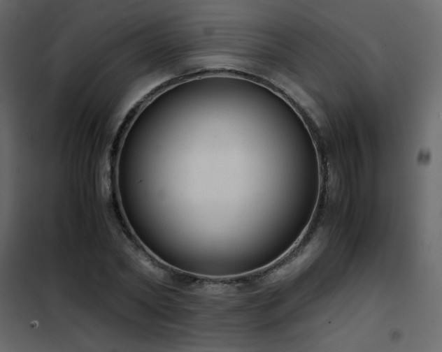 X0000102480782200808081304
