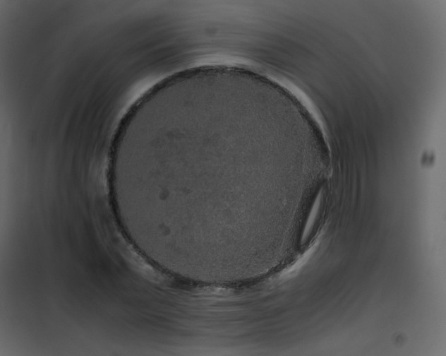 X0000102480783200808081304
