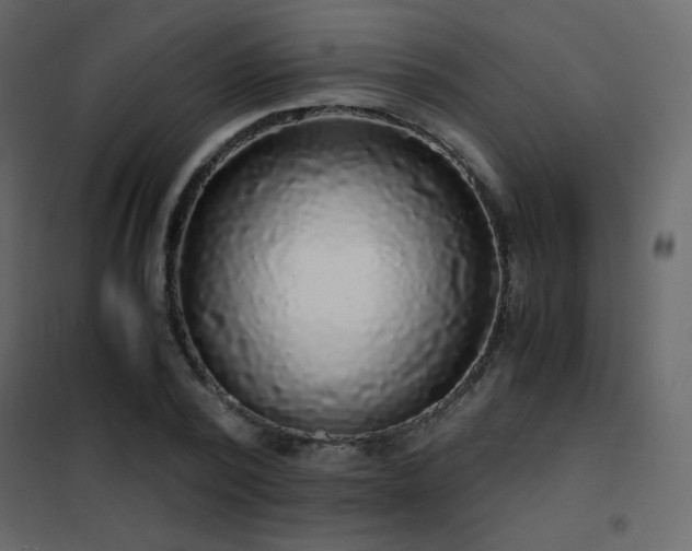 X0000102480784200808081304