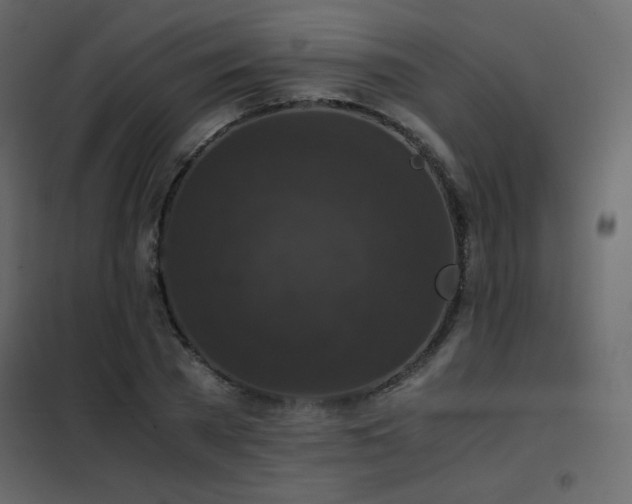 X0000102480785200808081304