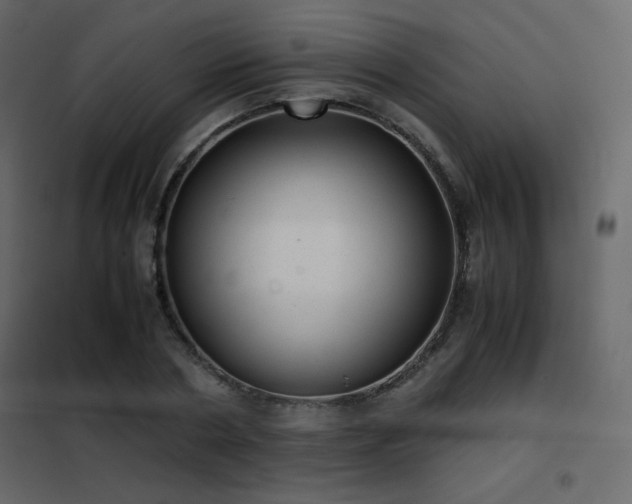 X0000102480786200808081304