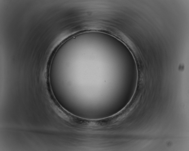 X0000102480787200808081304