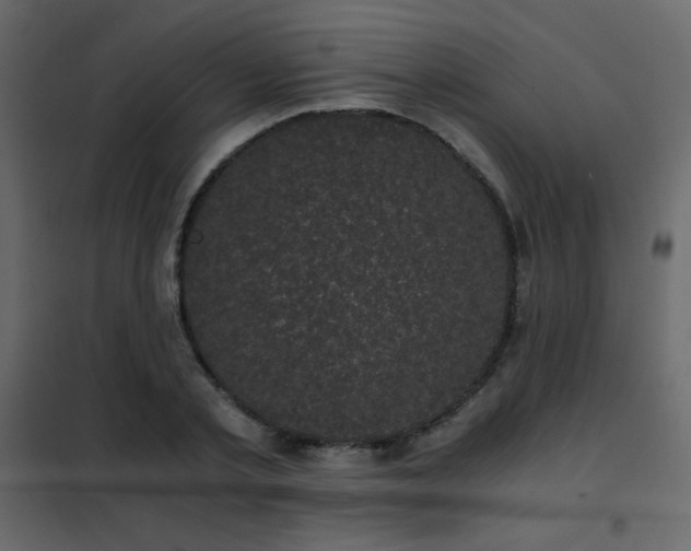 X0000102480789200808081304