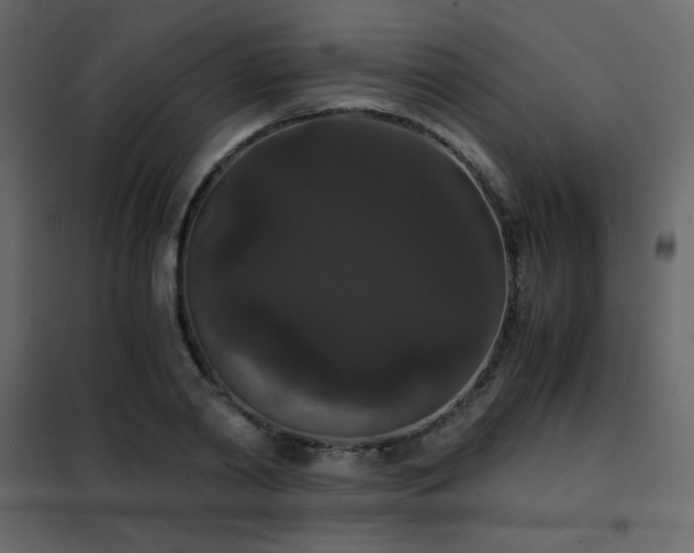 X0000102480790200808081304