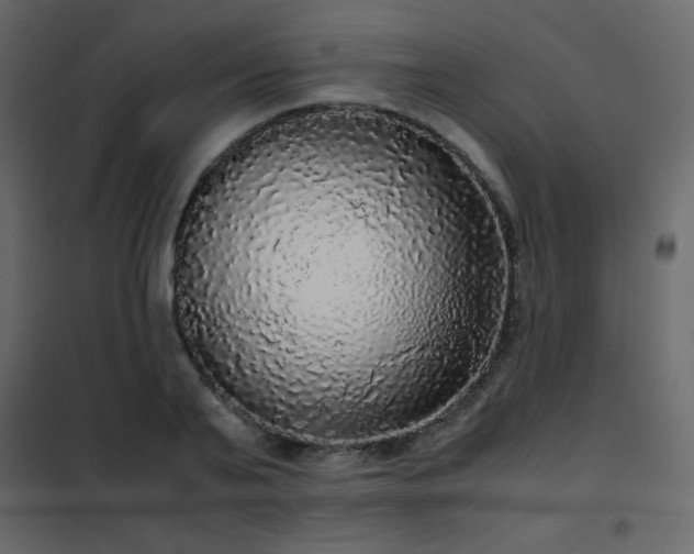 X0000102480791200808081304