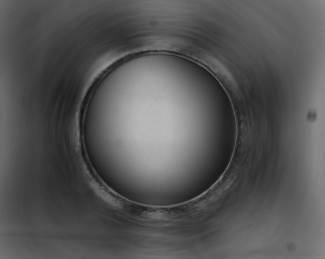 X0000102480792200808081304