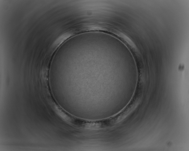 X0000102480793200808081304
