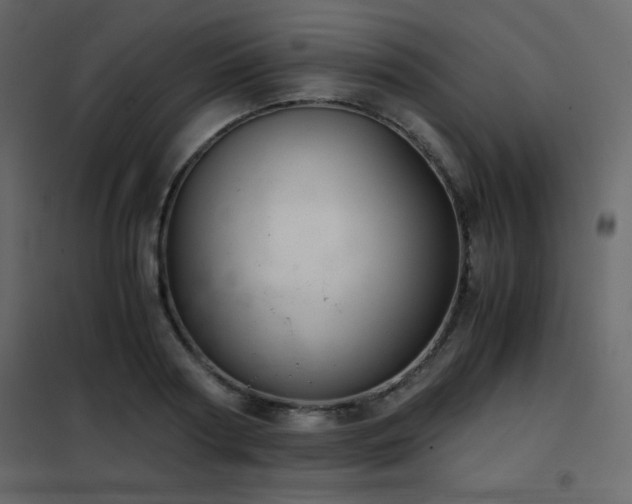 X0000102480794200808081304