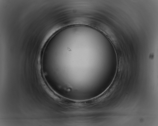 X0000102480796200808081304