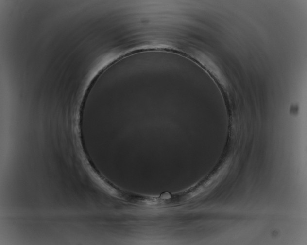 X0000102480797200808081304