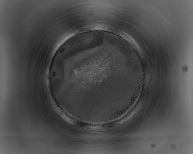 X0000102480798200808081304