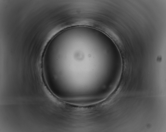 X0000102480800200808081304