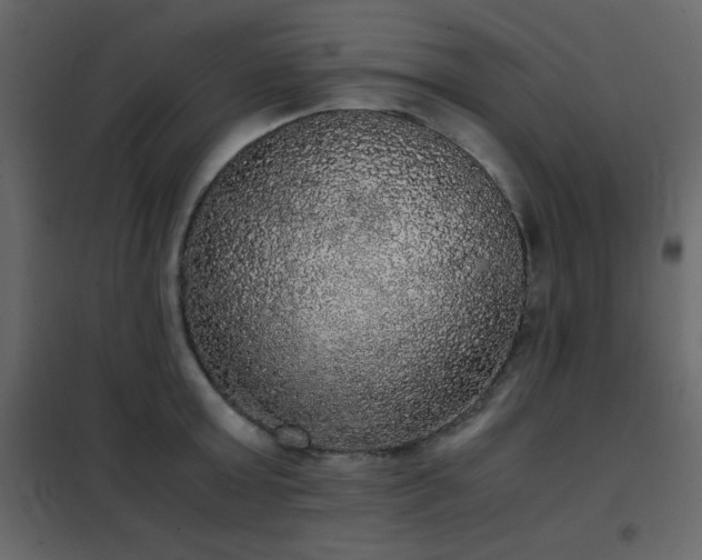 X0000102480803200808081304