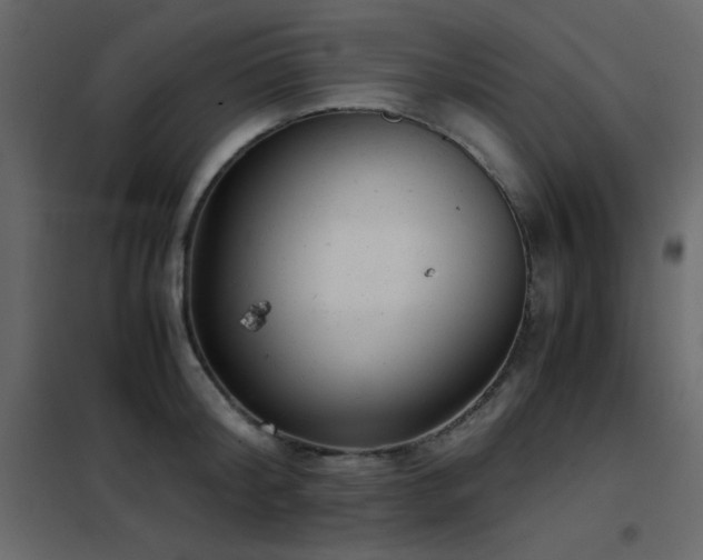 X0000102480804200808081304
