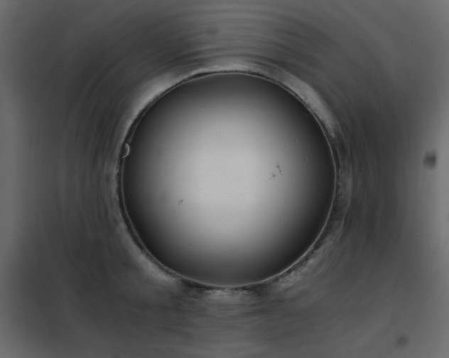 X0000102480805200808081304