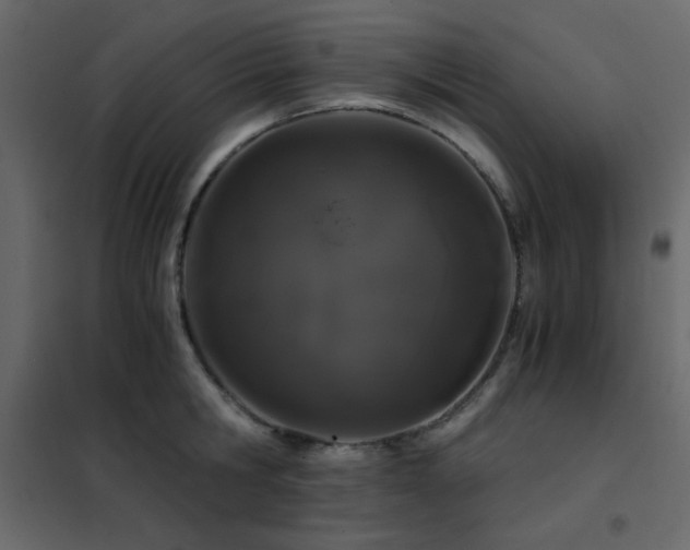 X0000102480806200808081304