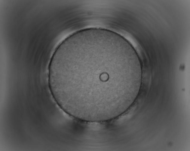 X0000102480807200808081304