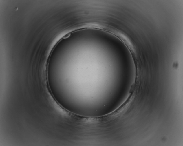 X0000102480808200808081304