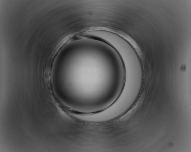 X0000102480809200808081303