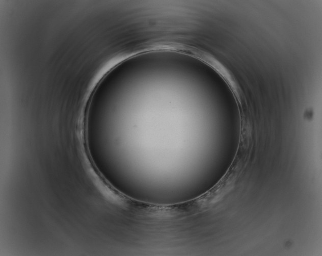 X0000102480811200808081303