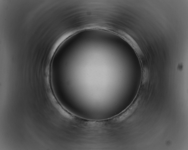X0000102480812200808081303