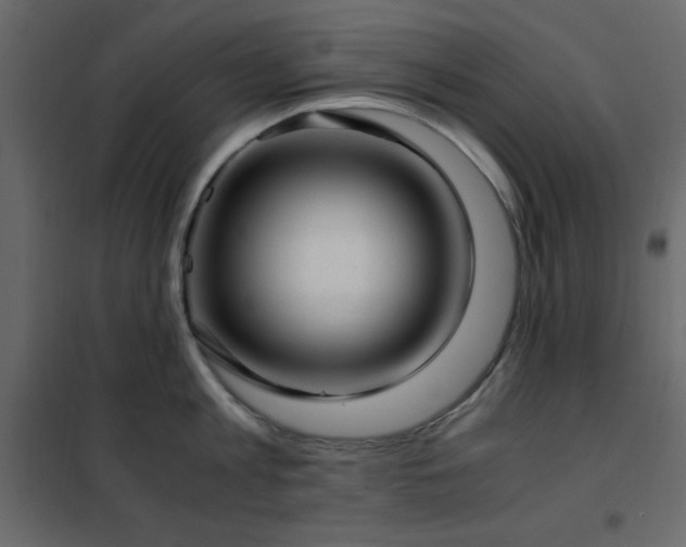 X0000102480813200808081303