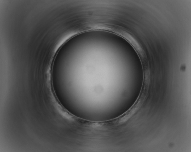 X0000102480814200808081303