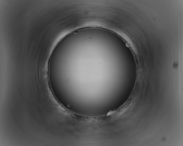 X0000102480815200808081303