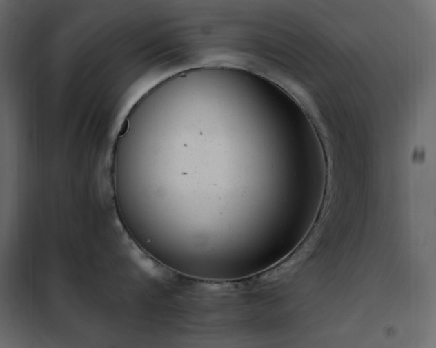 X0000102480816200808081303