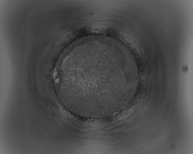 X0000102480817200808081303