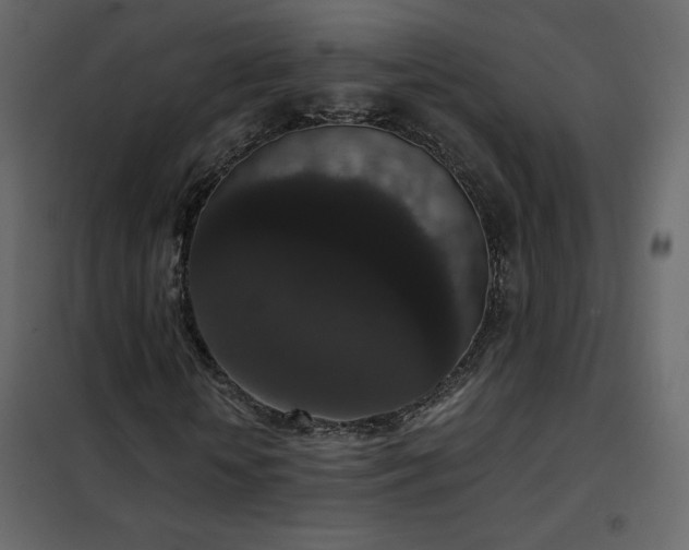 X0000102480818200808081303