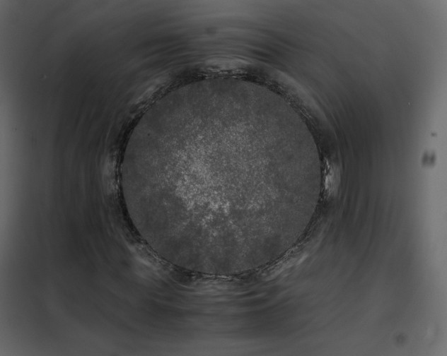 X0000102480819200808081303