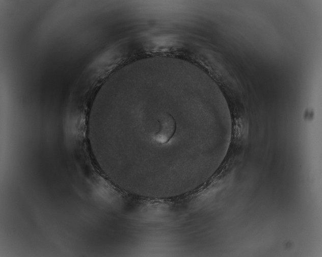 X0000102480820200808081303