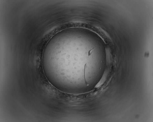 X0000102480821200808081303