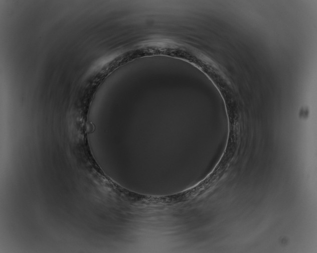 X0000102480822200808081303