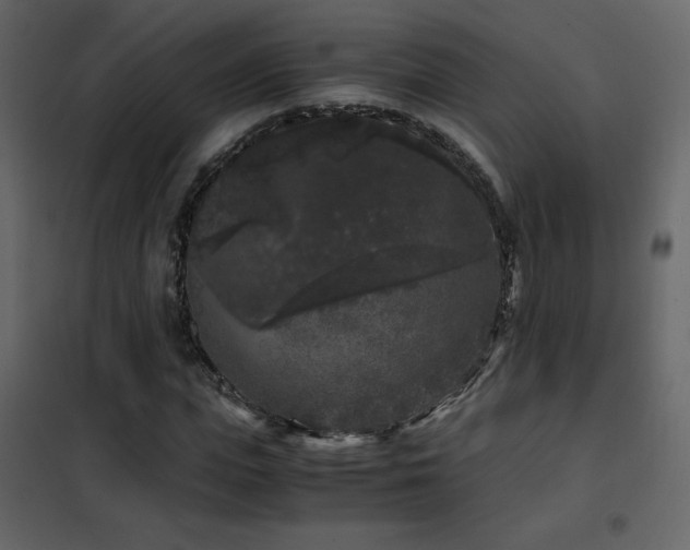 X0000102480823200808081303