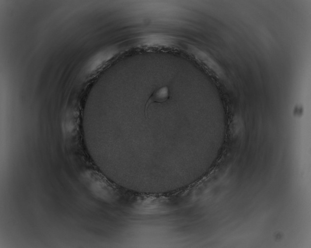 X0000102480824200808081303