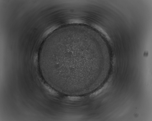 X0000102480825200808081303