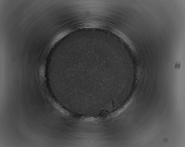 X0000102480826200808081303