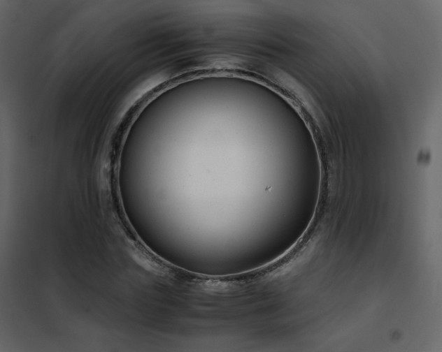 X0000102480827200808081303