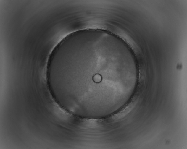 X0000102480828200808081303