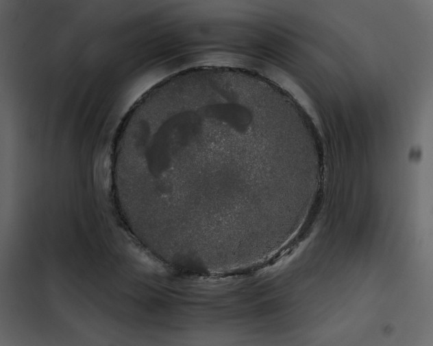 X0000102480829200808081303