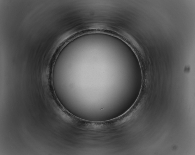 X0000102480831200808081303