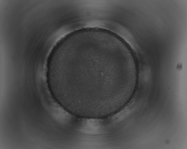X0000102480832200808081303