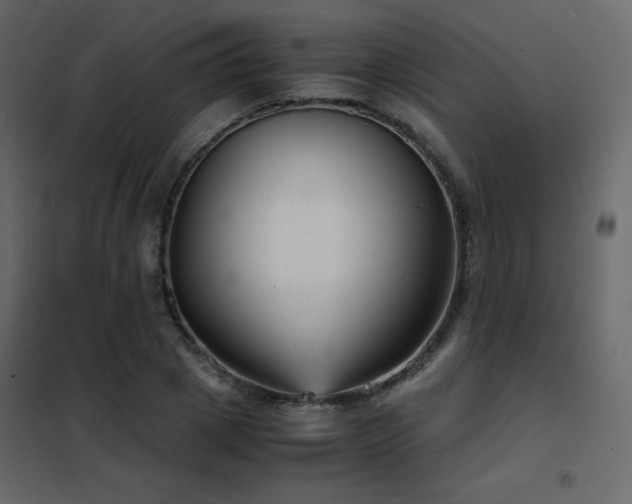 X0000102480833200808081303