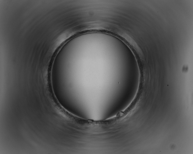 X0000102480834200808081303