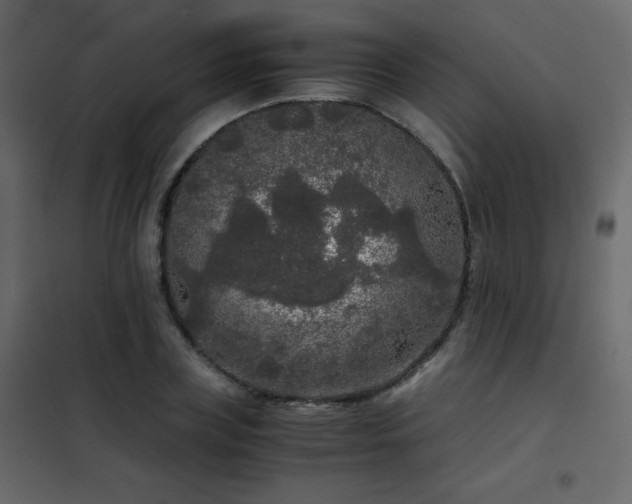 X0000102480835200808081303