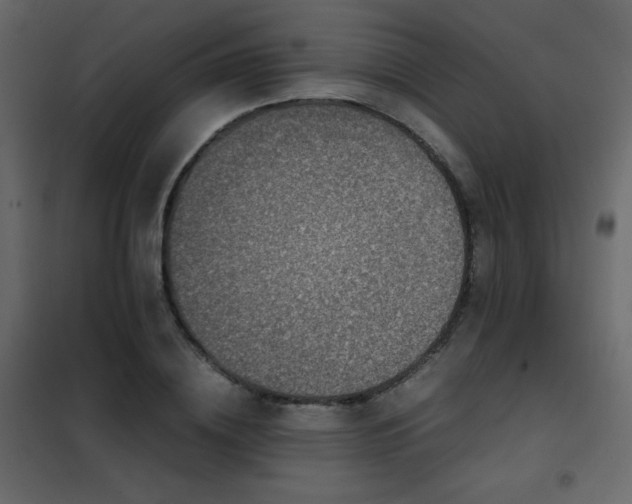 X0000102480836200808081303